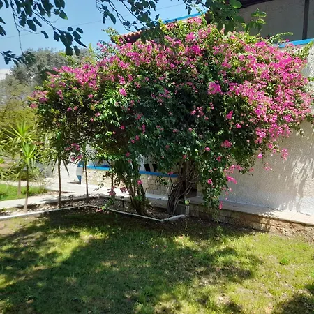 Diotima Rhodos Experience Вилла